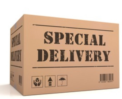 immagine di un pacco che Mazzanti NCC Bologna porta in consegna