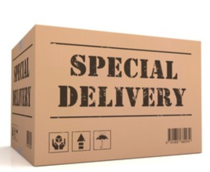 immagine di un pacco che Mazzanti NCC Bologna porta in consegna