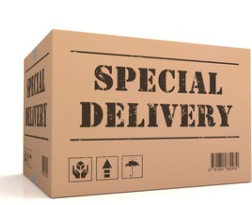 consegna urgente con Auto Blu