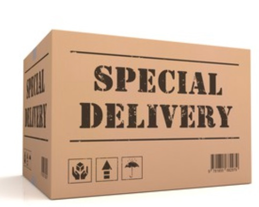 consegna urgente con Auto Blu